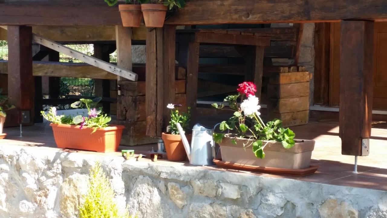 Stone House Vlasta Drnis Exterior photo